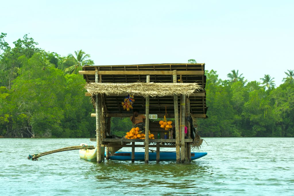 Der Kokosnussstand mitten in der Lagune von Balapitiya.